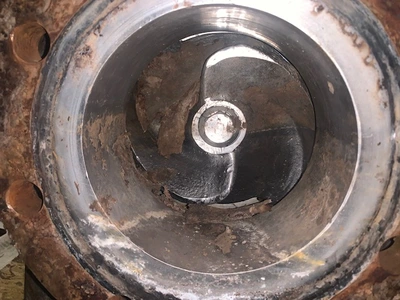 USED Goulds 3175