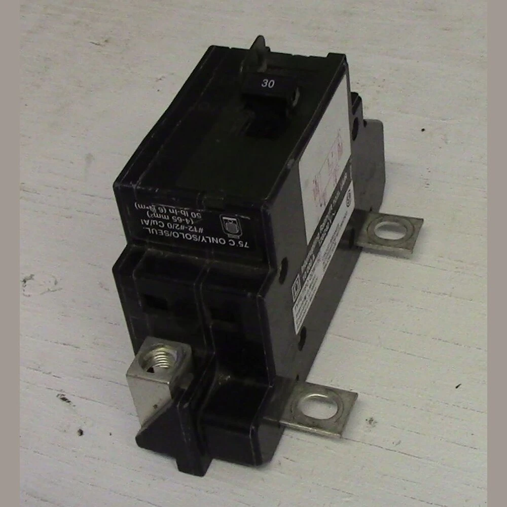 Square D 2 Pole 30 Amp Panel Main Breaker