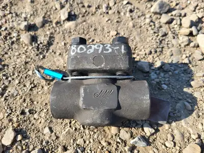 3/4" Class 800 Check Valve B16.34