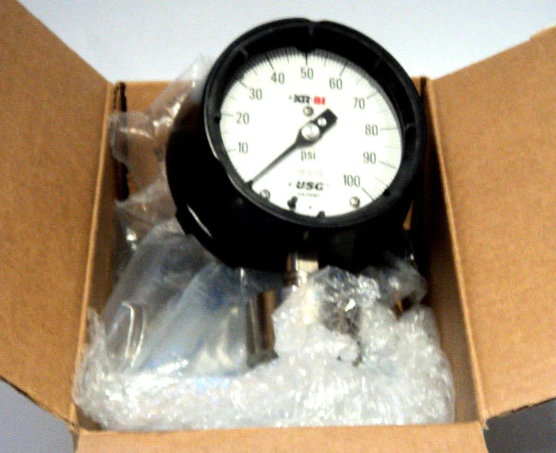 NEW USG AMETEK 150025SS GAUGE
