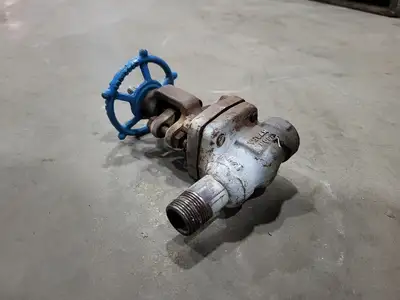 3/4" Class 800 Gate Valve B16.34