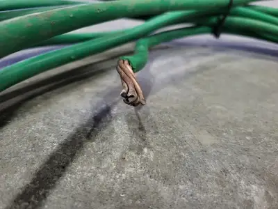 Tray Cable High Speed 2 AWG 1 Conductor 600V