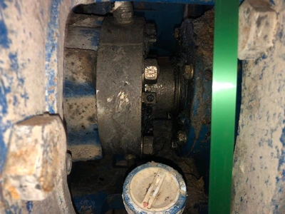 USED Goulds 3175