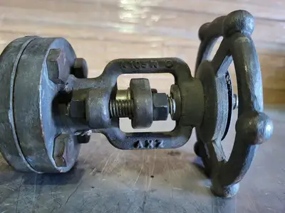 1/2" Class 800 Gate Valve B16.34