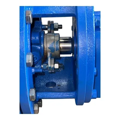 Used GRISWOLD 811 Pumps MX | MAQUINARIA PECUSA #1394149