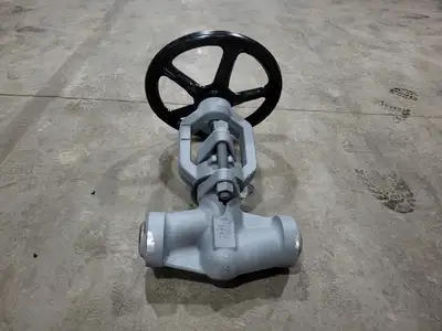 2" Class 1500 Globe Valve B16.34