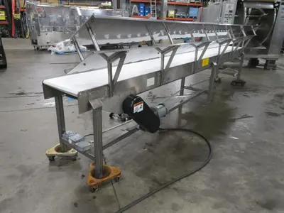 CPI SS Packoff Conveyor