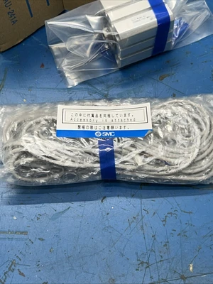 NEW SMC 25A-CDQSB25-10DC-M9BVL