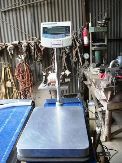 Used CAS BW-150 Platform Scales California US | Machinery & Equipment #139853