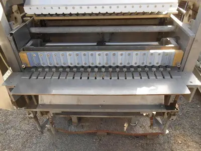 Washer, Vial, Auto, Tunnel, S/st, Linear, Mdl 100 #C742071