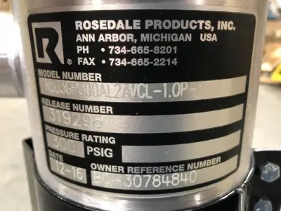 Used 2012 ROSEDALE H503GP300AL2AVCL-1.OP-B Inline Basket Filters British Columbia CA | Lenmark #1489178