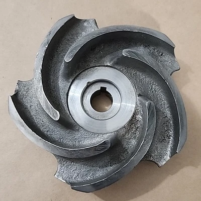 USED Goulds 54153