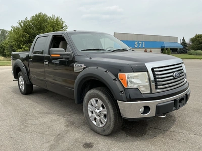 Used 2010 FORD F150 Pickup Trucks Michigan US | Miedema Asset Management Group #1316039