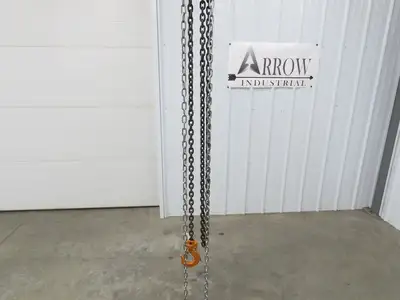 Vestil LOW-2P 1 Ton 2000Lb Chain Fall Hoist 9.8' Lift Push Trolley Low Headroom