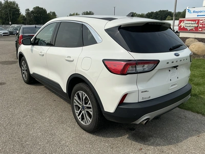 Used 2022 FORD ESCAPE Miscellaneous Trucks/Trailers Michigan US | Miedema Asset Management Group #1489517