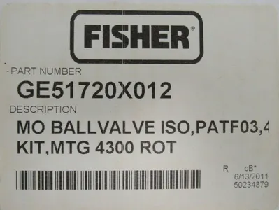NEW FISHER GE51720X012 MO BALLVALVE ISO