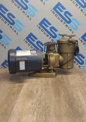 LEESON C6T34FC5G Motors/Gearboxes | ESS Industrial Equipment Sales (1)