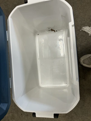 Used _UNKNOWN_ _UNKNOWN_ Bottle Coolers Michigan US | Miedema Asset Management Group #1321162