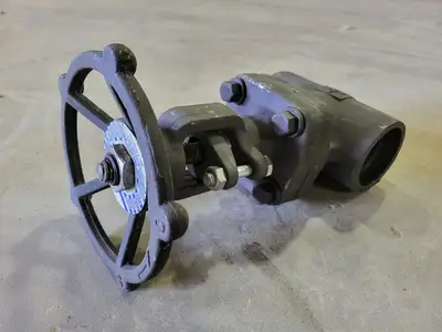 2" Class 800 Gate Valve B16.34