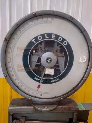 USED TOLEDO 2181