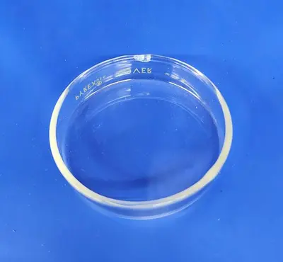 PYREX 40ML BEAKER, 100ML BEAKER, NO. 3140 CRYSTALLIZING DISH, & PETRI DISH COVER