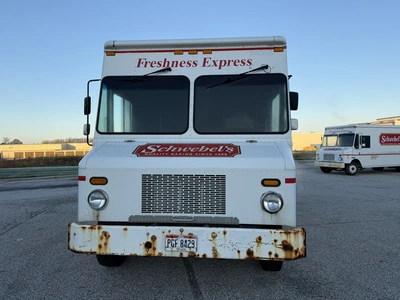Used 2008 WORKHORSE ROUTE STAR DELIVERY TRUCK Box trucks Ohio US | Miedema Asset Management Group #1709413