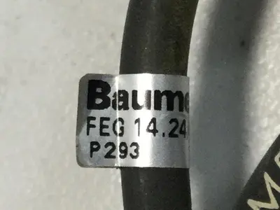 USED BAUMER ELECTRIC FEG 14.24/403858