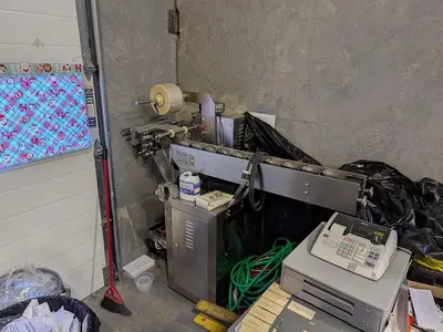 Flow Packer with Bucket Infeed