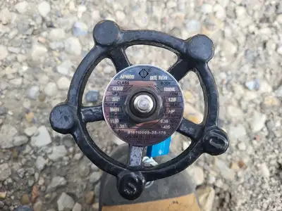 2019 3/4" Class 800 Gate Valve API 602