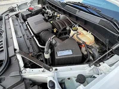 Used 2019 CHEVROLET SILVERADO 1500 Pickup Trucks Florida US | Truck and Van Outlet #1509134
