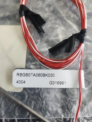 NEW Watlow RBGB0TA060BK030