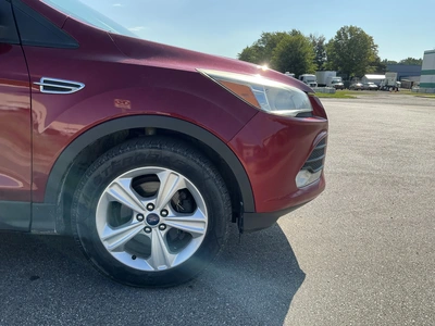 Used 2013 FORD ESCAPE SUVs Michigan US | Miedema Asset Management Group #1397209