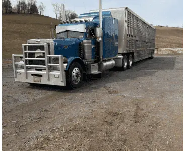 Used PETERBILT 379 Conventional trucks Pennsylvania US | Trustworthy Equipment #1403455
