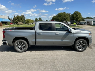 Used 2025 CHEVROLET SILVERADO 1500 Pickup Trucks Michigan US | Miedema Asset Management Group #1423560
