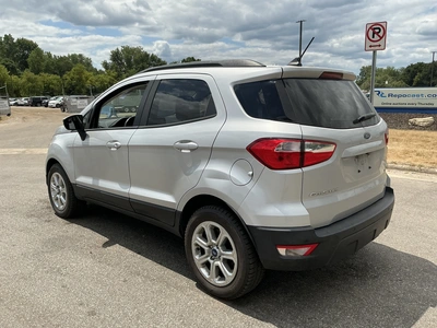 Used 2019 FORD ESCAPE SUVs Michigan US | Miedema Asset Management Group #1324251