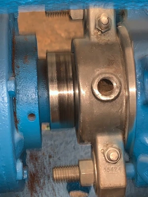 USED Goulds 3175
