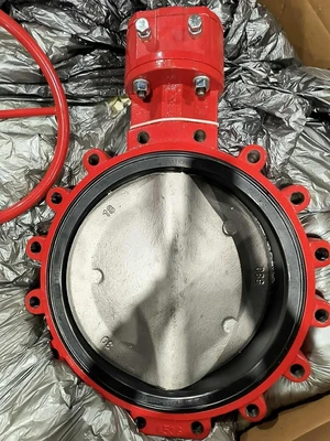 Bray 316 SS Butterfly Valves | Fram Fram LLC (5)