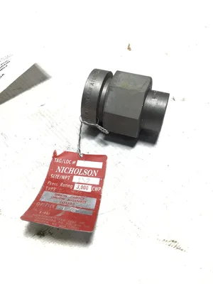 Nicholson Steam Trap 3000 psi DUA-SXC9A
