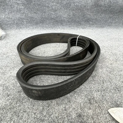 New | in-Stock Jason RB-148 Belts California US | Davliegogo LLC #1705405