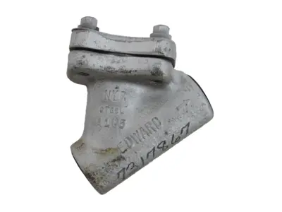 NEW EDWARD 00832Y CHECK VALVE 3/4"