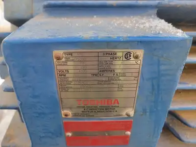 250 hp, 4000 volts, 713 rpm, D509Z AC Induction Motor