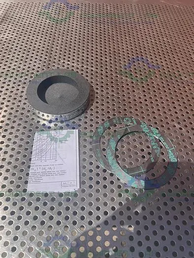 NEW BUCHIGLASUSTER F-SQ DIABON BURSTING DISC 80MM