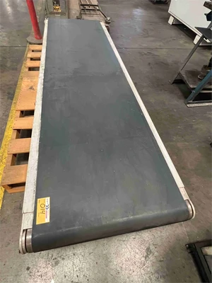 Used HOMAG _UNKNOWN_ Belt Conveyors California US | MachineryMax #1402994
