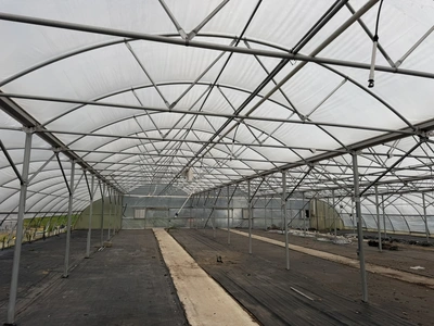 Used _UNKNOWN_ _UNKNOWN_ Greenhouse Equipment Michigan US | Miedema Asset Management Group #1396114