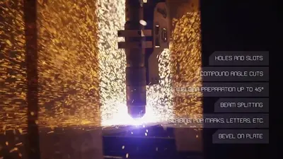PCR31