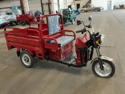 Used 2026 SDLANCH ET13 Utility Vehicles Michigan US | Miedema Asset Management Group #1578961