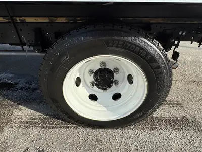 Used 2023 ISUZU NPR HD Box trucks Florida US | Truck and Van Outlet #1708746