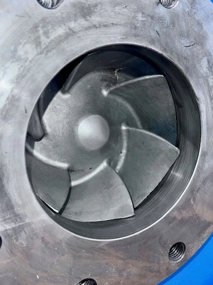 USED Goulds 3196MTi