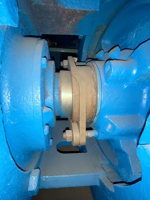 USED Goulds 3175