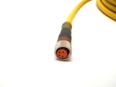 USED BELDEN LUMBERG AUTOMATION M8 CORDSET